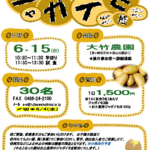 (R7年6月15日開催) 茅ケ崎北東支部 ジャガイモ収穫のご案内（支部限定）