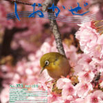 広報誌「しおかぜ」No,373 (2026年3月号)を掲載しました